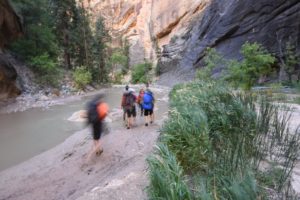 Hiking into the Narrows. Zion National Park, Utah