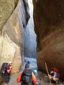 Resting along the Virgin River. The Narrows, Zion National Park, Utah