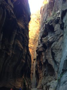 Sun hits high on the cliffs above the Narrows. Zion National Park, Utah