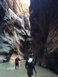 High cliffs along the Virgin River, the Narrows, Zion National Park, Utah